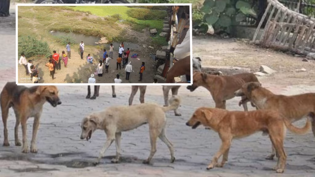 आईच्या डोळ्यांसमोर चार वर्षीय मुलीचे भटक्या कुत्र्यांनी तोडले लचके…-mycivilexam.com